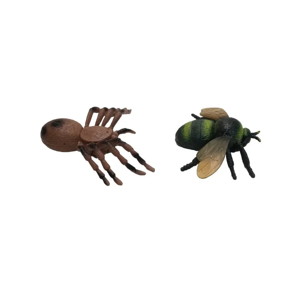 Realistic Fake Insects Spider Fly Bee 🕷️🐝🪰 Creepy Crawling Prank Prop Set